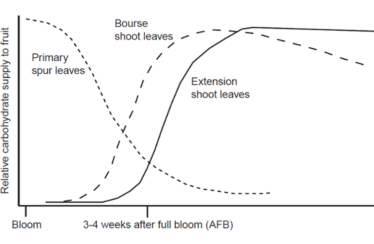 Line graph showing curve of thinning window